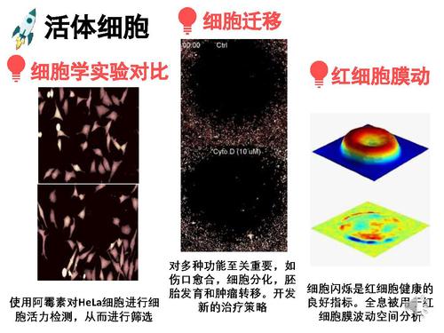 12光干涉与全息成像-35