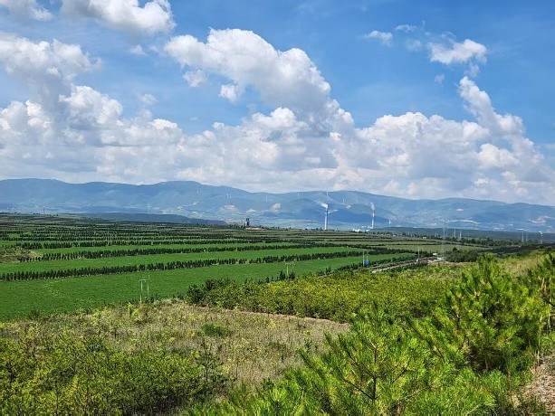 平朔矿区生态修复后的植被景观(吴鞠 摄) 平朔矿区生态修复后的植被景观(吴鞠 摄)